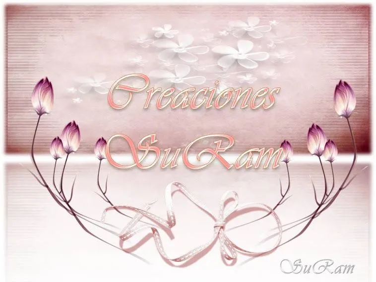 Creaciones SuRam Videos