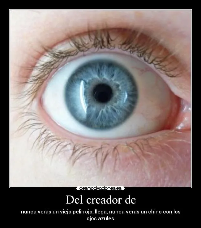 Del creador de | Desmotivaciones