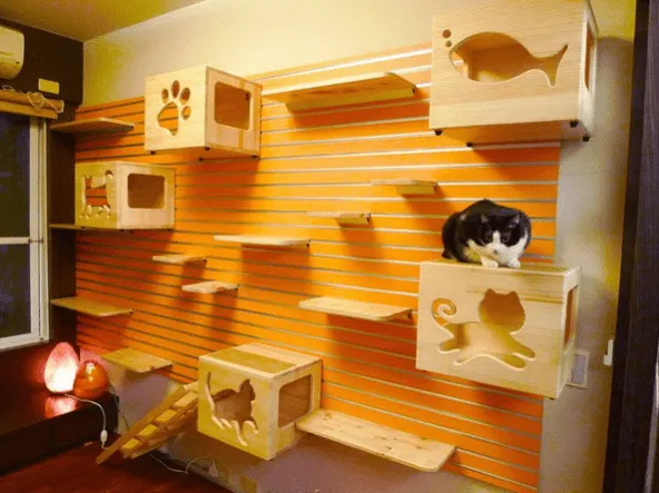 Como Puedo Crear: Juego para Gatos. Tutorial
