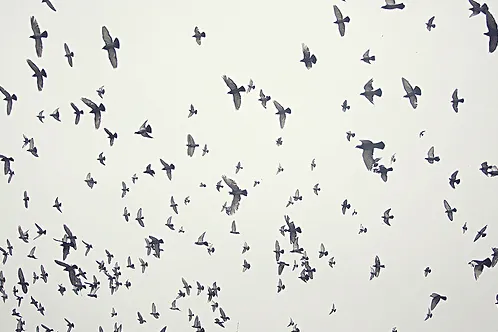 Cuando creas en ti,el cielo sera tu limite