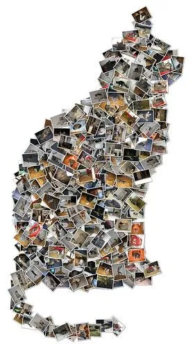 Create High Resolution Picture Collages & Posters in Seconds Create High Resolution Picture Collages & Posters in Seconds