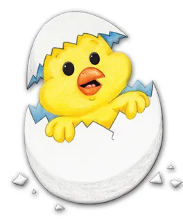 ... le crecen las fuerzas rompe el cascaron el pollito lito ha nacido hoy ... le crecen las fuerzas rompe el cascaron el pollito lito ha nacido hoy