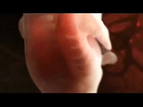 Desarrollo del Feto - 0 a 4 meses -1 de 4-.flv - YouTube Desarrollo del Feto - 0 a 4 meses -1 de 4-.flv - YouTube