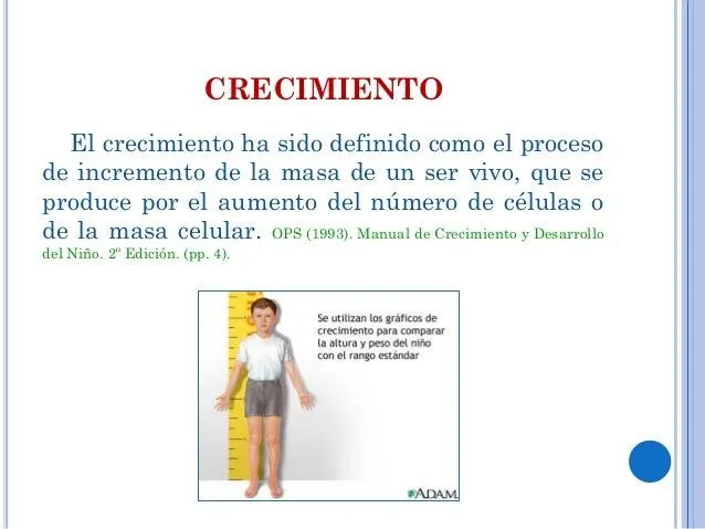 crecimiento-maduracin-y- ...