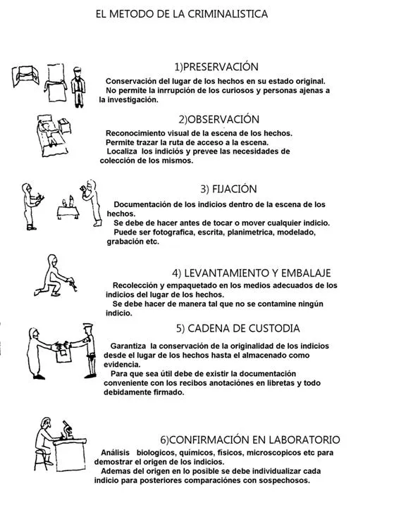 Criminalística visual - Monografias.com