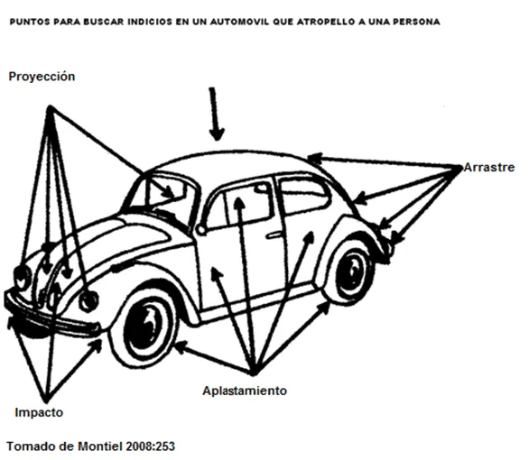 Criminalística visual (página 2) - Monografias.com