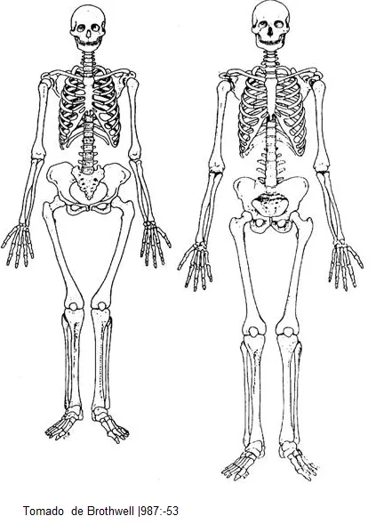 Criminalística visual (página 2) - Monografias.com
