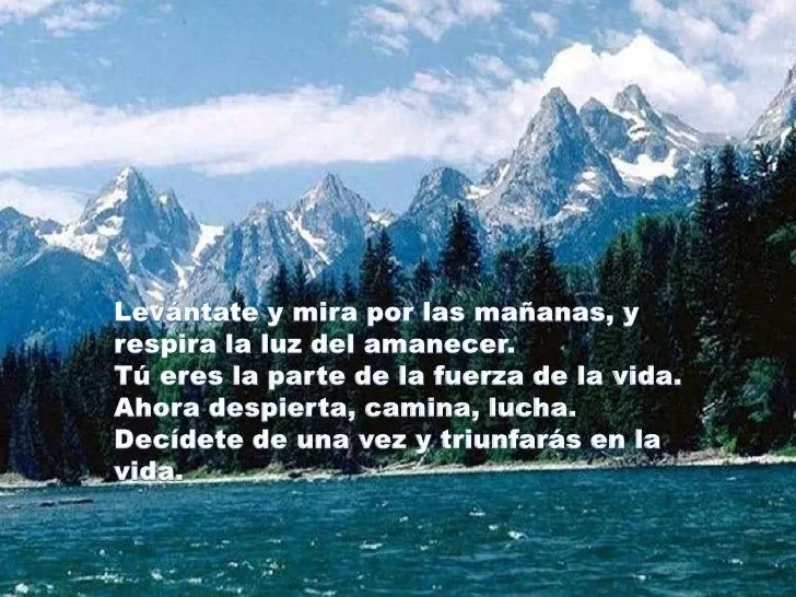 Cristianos Unidos Online: Reflexiones sobre la vida con Cristo Cristianos Unidos Online: Reflexiones sobre la vida con Cristo