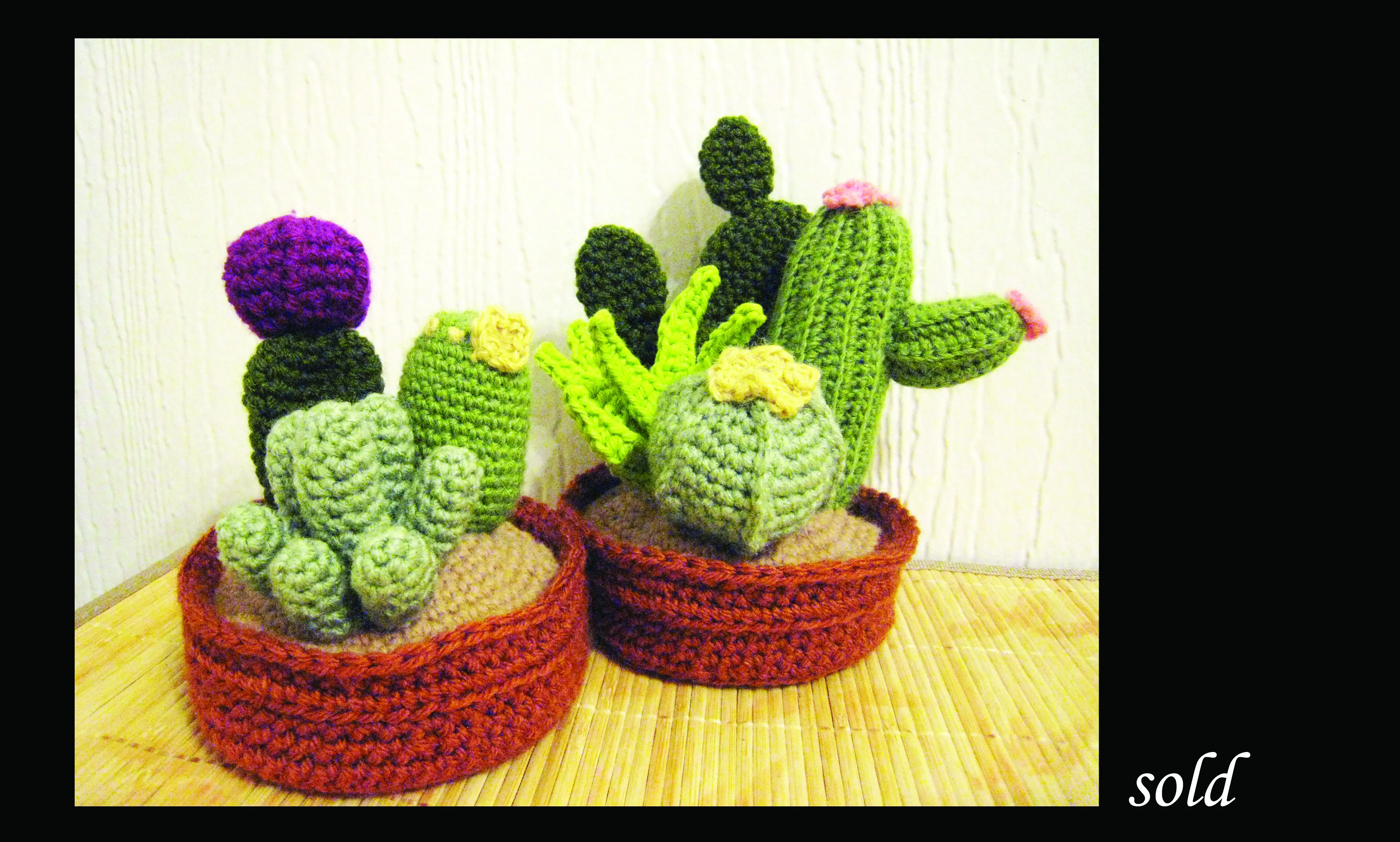 Crochet Cactus Pictures
