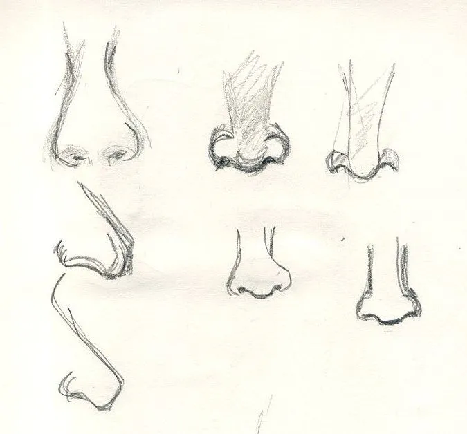 Crónica de un autodidacta del dibujo.: Nariz Crónica de un autodidacta del dibujo.: Nariz
