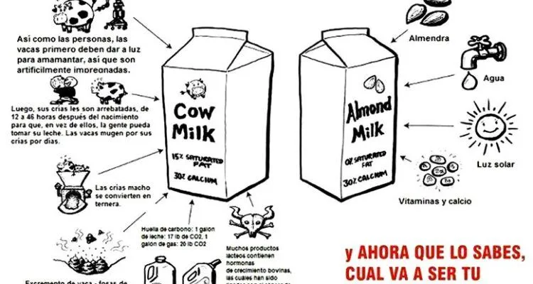 LAS CRONICAS DE ALF : ..TANTA VARIEDAD DE LECHES .VENENOS A LA CARTA,, LAS CRONICAS DE ALF : ..TANTA VARIEDAD DE LECHES .VENENOS A LA CARTA,,
