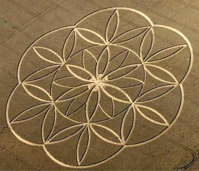 Crop circles: las señales del otro lado ~ Nueva Mentes