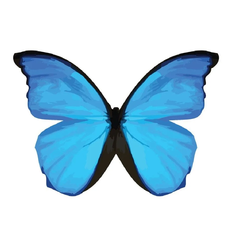 cropped-zaggora-blue-butterfly ...