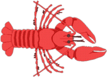 Crustaceos. Artropodos. Invertebrados. Fauna. Fauna en Aragón ...