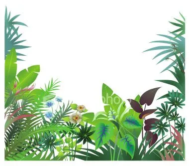 CSS3 Border Image Experiment