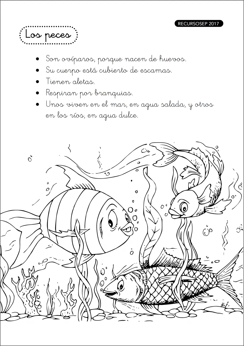 Mi cuadernillo de los animales vertebrados – Primer Ciclo Primaria Mi cuadernillo de los animales vertebrados – Primer Ciclo Primaria