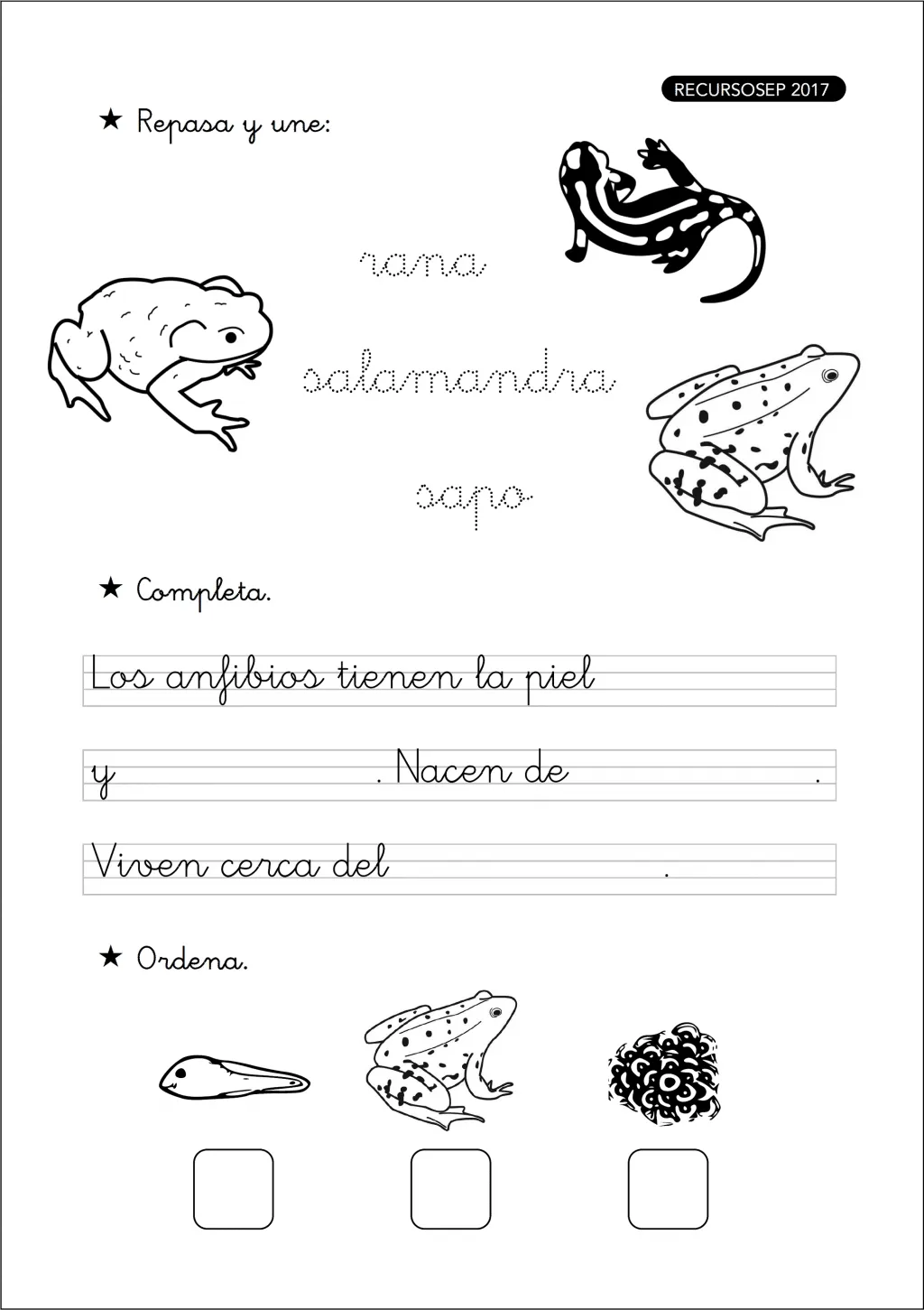 Mi cuadernillo de los animales vertebrados – Primer Ciclo Primaria Mi cuadernillo de los animales vertebrados – Primer Ciclo Primaria