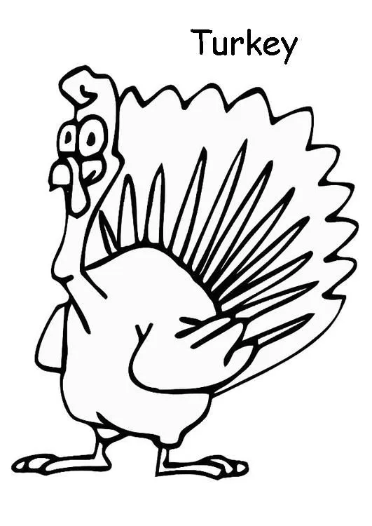 Mi cuadernillo de inglés: Animales domésticos para colorear Mi cuadernillo de inglés: Animales domésticos para colorear
