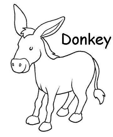 Mi cuadernillo de inglés: Animales domésticos para colorear