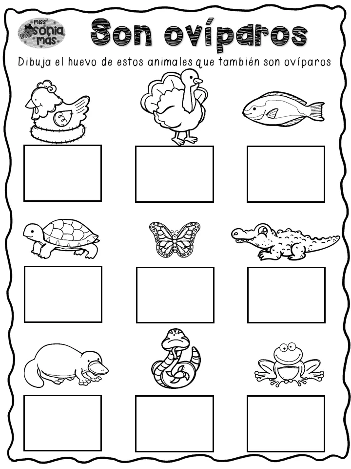 Cuadernito de Dinosaurios | Mundo de Rukkia Cuadernito de Dinosaurios | Mundo de Rukkia