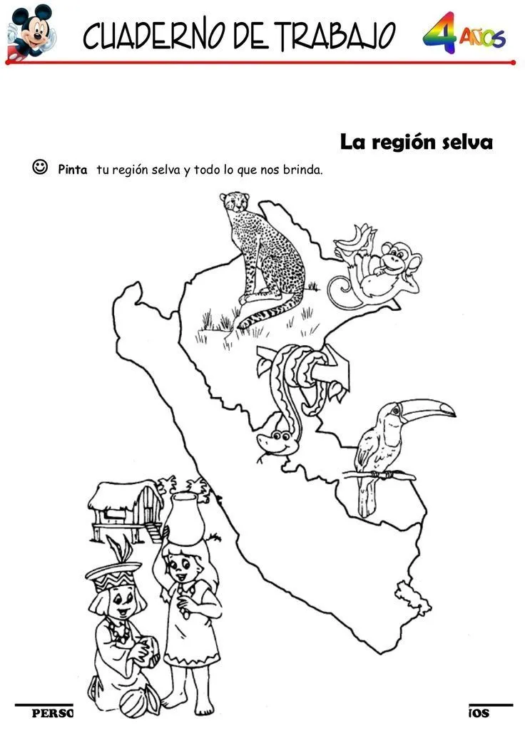Cuaderno de Trabajo | 4 años | Regiones del Perú | Región Selva | Regiones,  Imagenes de emociones, Perú