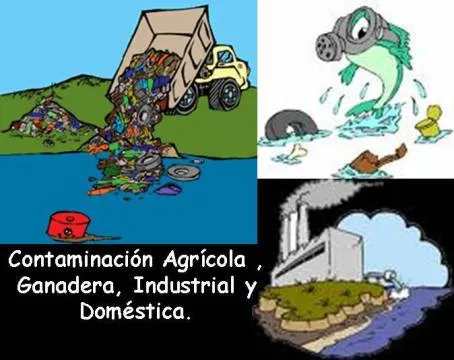 Cuaderno de Ciencias Naturales: La contaminación del agua