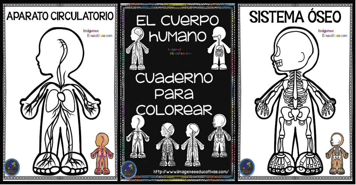 Cuaderno del Cuerpo Humano para colorear – Imagenes Educativas