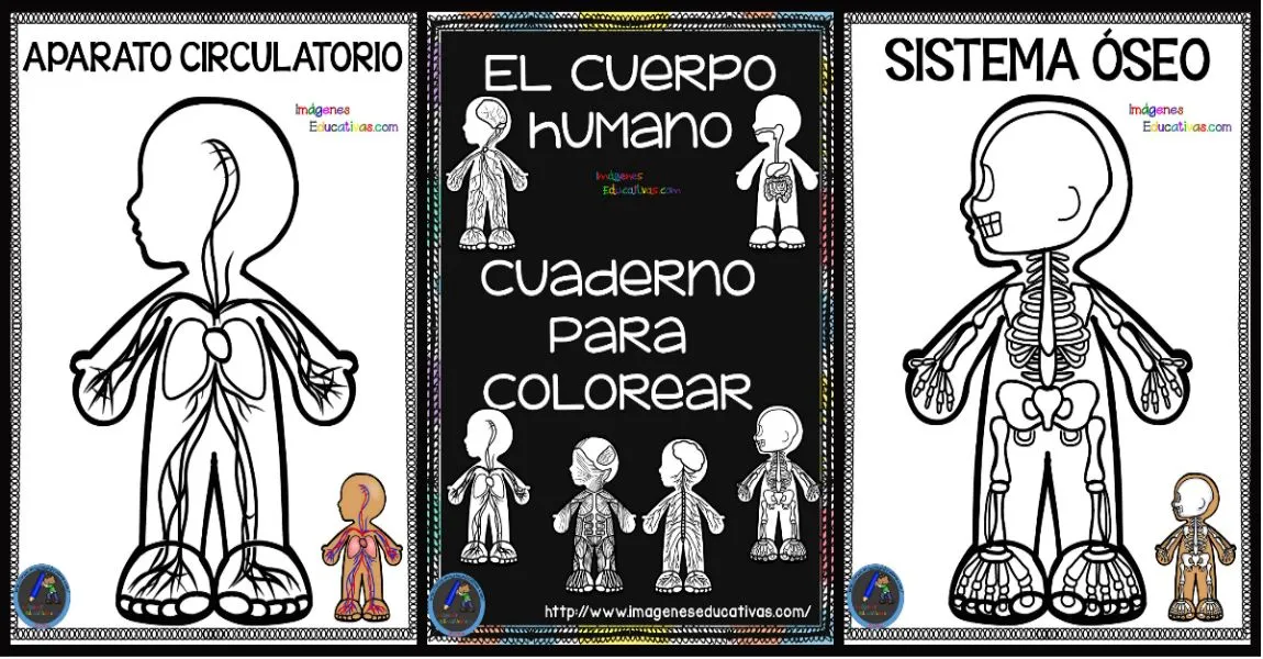 Cuaderno del Cuerpo Humano para colorear – Imagenes Educativas Cuaderno del Cuerpo Humano para colorear – Imagenes Educativas