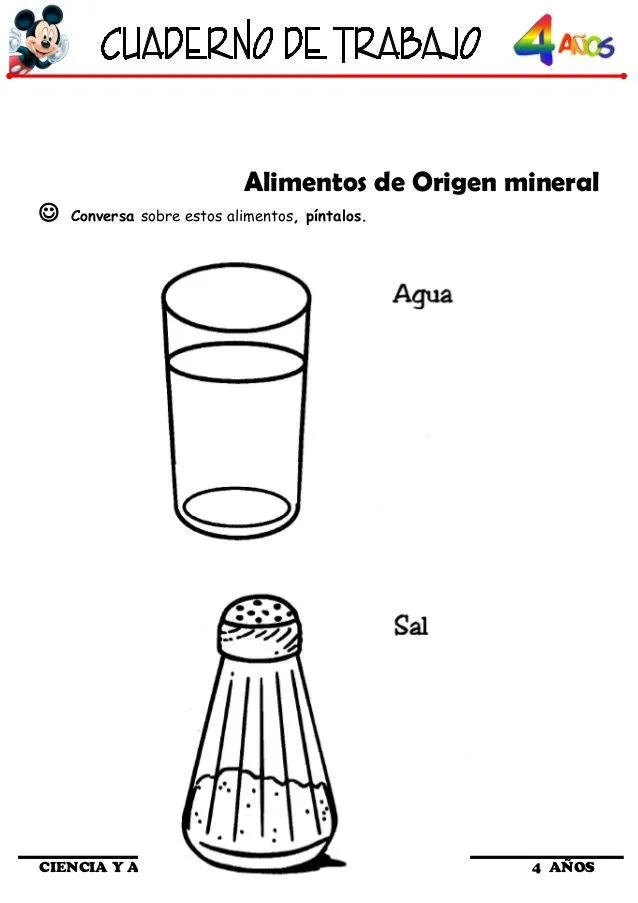 Cuaderno de trabajo II - 4 Años de Ciencia y Ambiente | Animales vegetales, Alimentos, Ciencias de la naturaleza