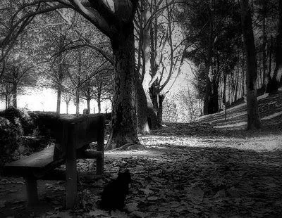 Cuaderno insepulto [POESÍA DE ANDRÉ CRUCHAGA]: octubre 2010