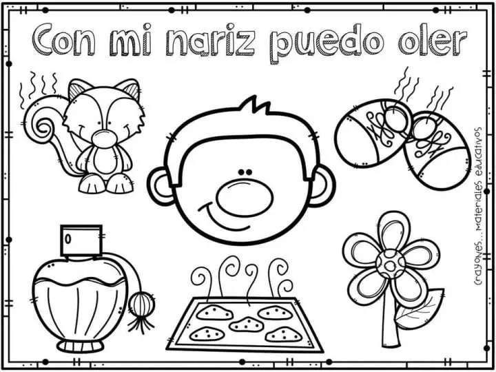 CUADERNO PARA TRABAJAR LOS SENTIDOS EN EDUCACIÓN INFANTIL + VÍDEO Y CANCIÓN – Imagenes Educativas CUADERNO PARA TRABAJAR LOS SENTIDOS EN EDUCACIÓN INFANTIL + VÍDEO Y CANCIÓN – Imagenes Educativas