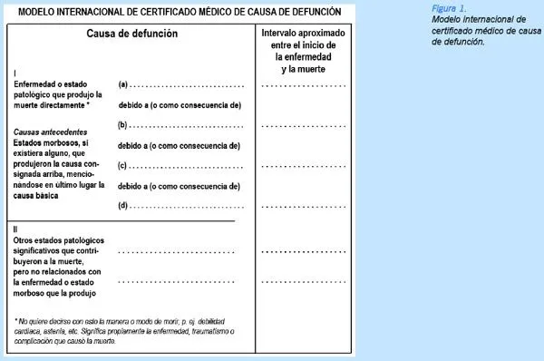 Cuadernos de Medicina Forense - Diagnóstico del origen y la causa ... Cuadernos de Medicina Forense - Diagnóstico del origen y la causa ...
