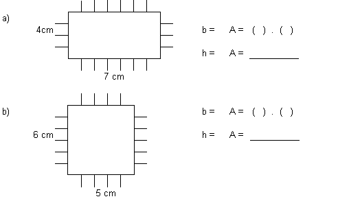 Cuadrícula para medir Cuadrícula para medir