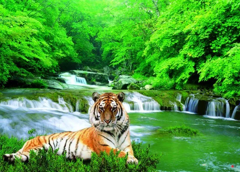 cuadro de la cascada 3D-Artesanías de Plástico-Identificación del ...