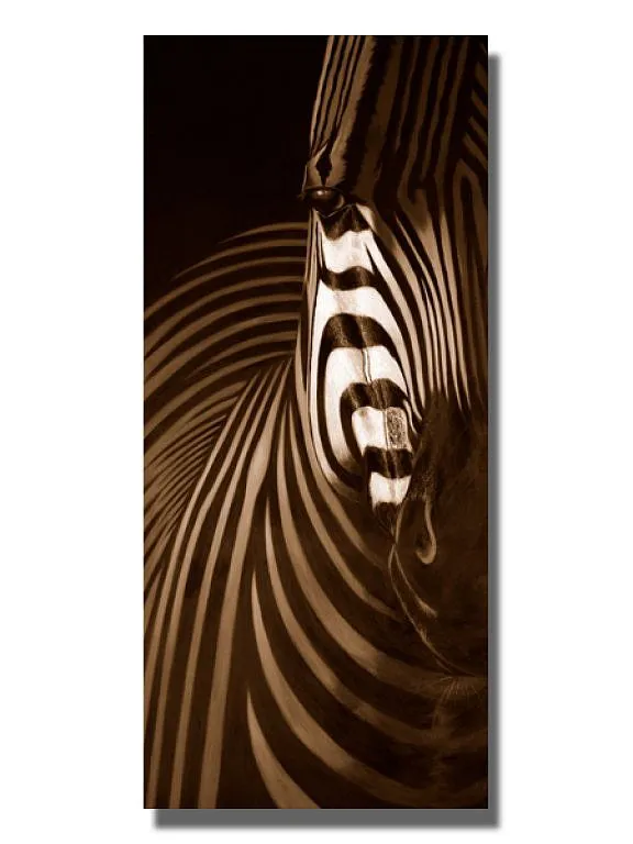 cuadro cebra (4) | Decorar tu casa es facilisimo.com