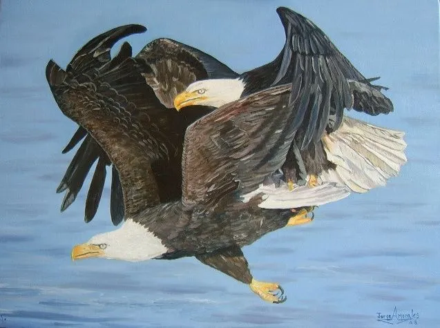 Aguilas jorge armando morales gramajo - Artelista.com