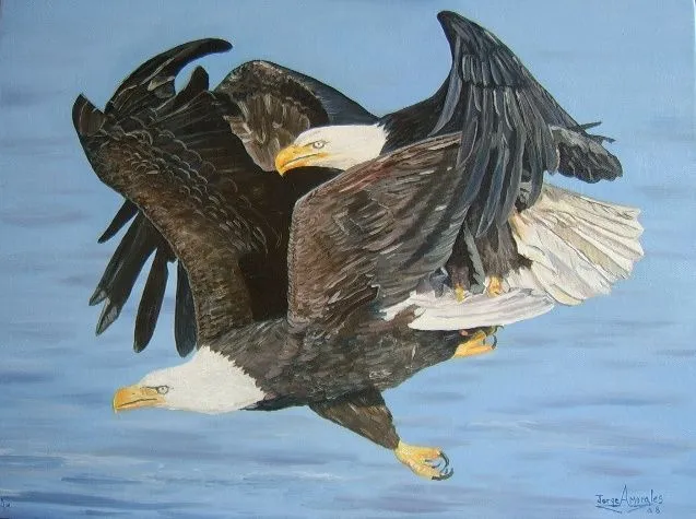 Aguilas jorge armando morales gramajo - Artelista.com Aguilas jorge armando morales gramajo - Artelista.com