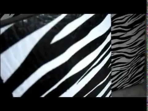 CUADROS ANIMAL PRINT - YouTube