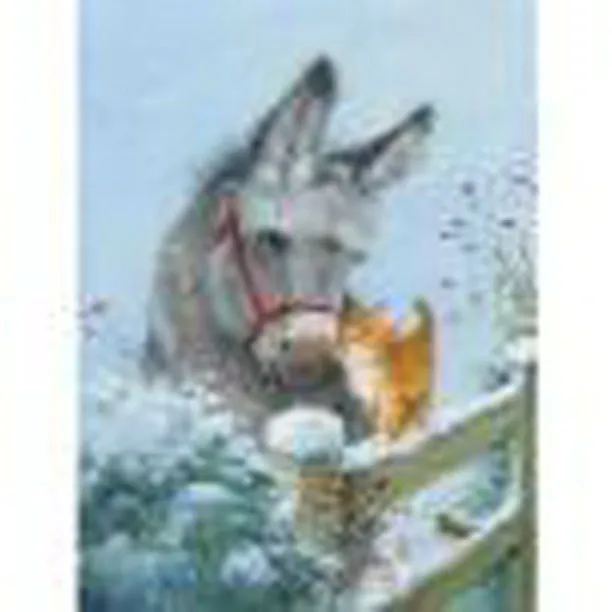 Cuadros Decorativos Punto de cruz completo 11CT Burro estampado DIY Hilo de algodón Animal Print Bordado JShteea Nuevos Originales | Bodega Aurrera en línea Cuadros Decorativos Punto de cruz completo 11CT Burro estampado DIY Hilo de algodón Animal Print Bordado JShteea Nuevos Originales | Bodega Aurrera en línea