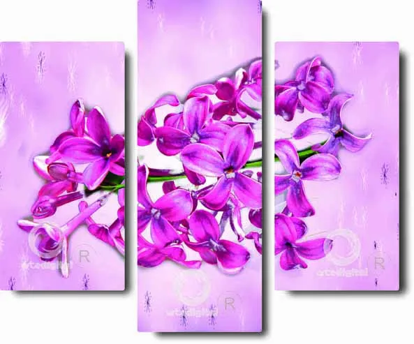 Cuadros orquidea - Imagui