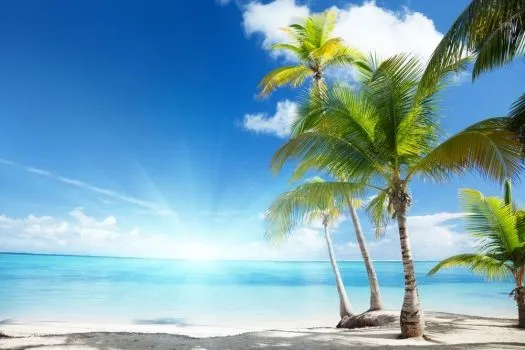 Fotomural playa caribe con palmeras. Mural playa caribe con palmeras