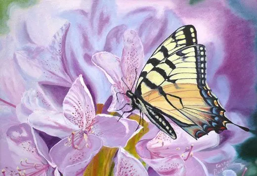 cuadros de mariposas « Mi Galeria de Cuadros al Oleo cuadros de mariposas « Mi Galeria de Cuadros al Oleo