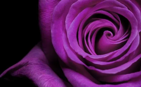 Cuadros metacrilato a medida flores