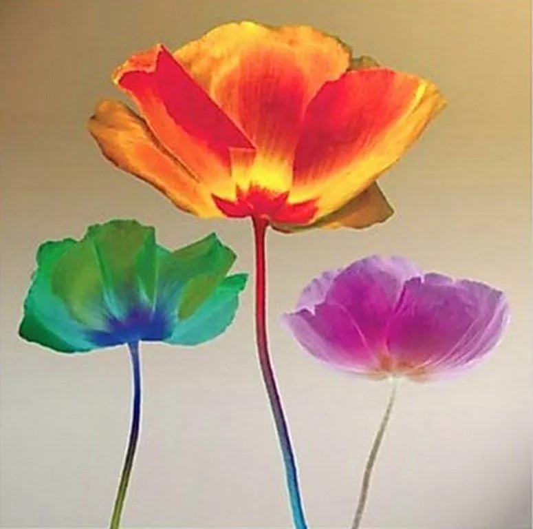 Cuadros al óleo de flores grandes | Bodegones y Paisajes Cuadros ... Cuadros al óleo de flores grandes | Bodegones y Paisajes Cuadros ...