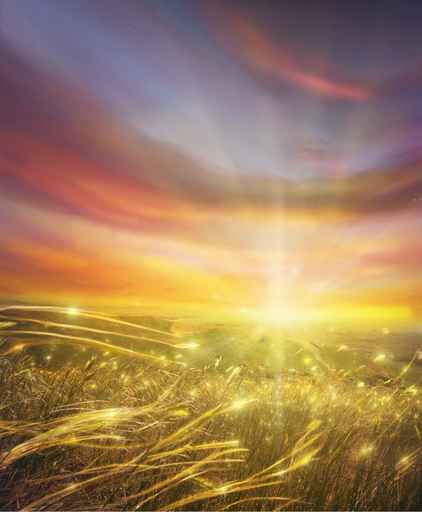 Cuadros Paisajes Brillo Naturaleza Cuadros Paisajes Brillo Naturaleza