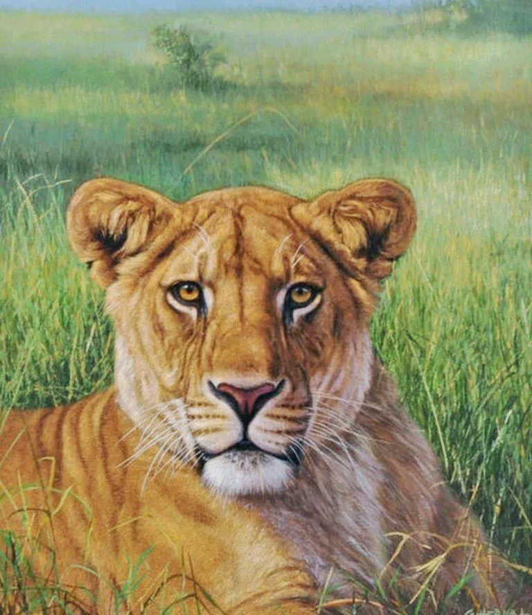 Cuadros de Pinturas: Cuadros con Animales, Gabriel Hermida Cuadros de Pinturas: Cuadros con Animales, Gabriel Hermida