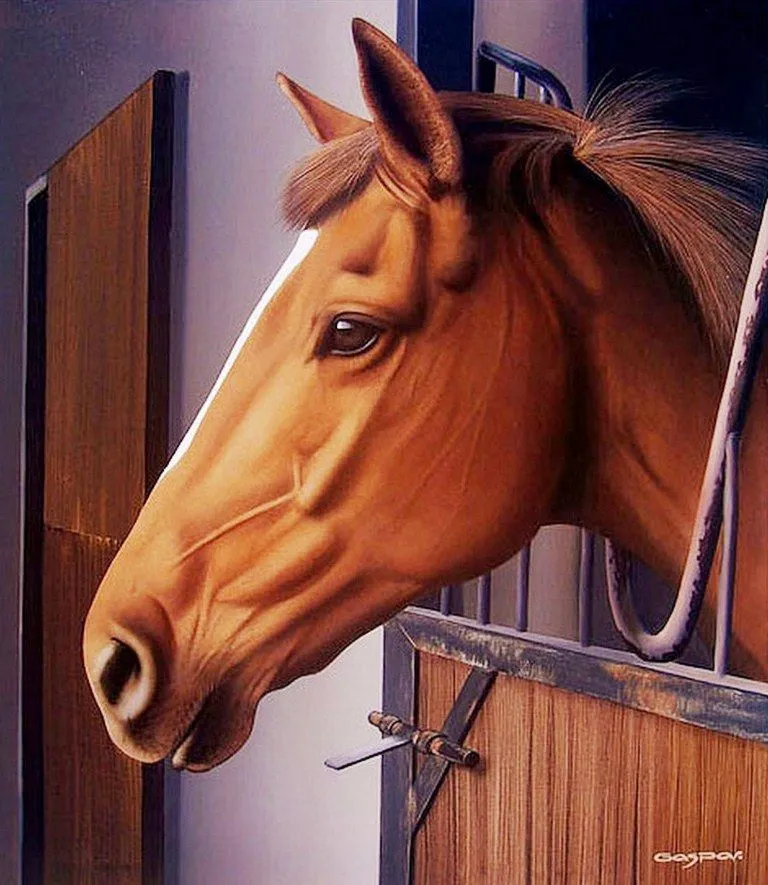 Imagenes de rostros de caballos - Imagui