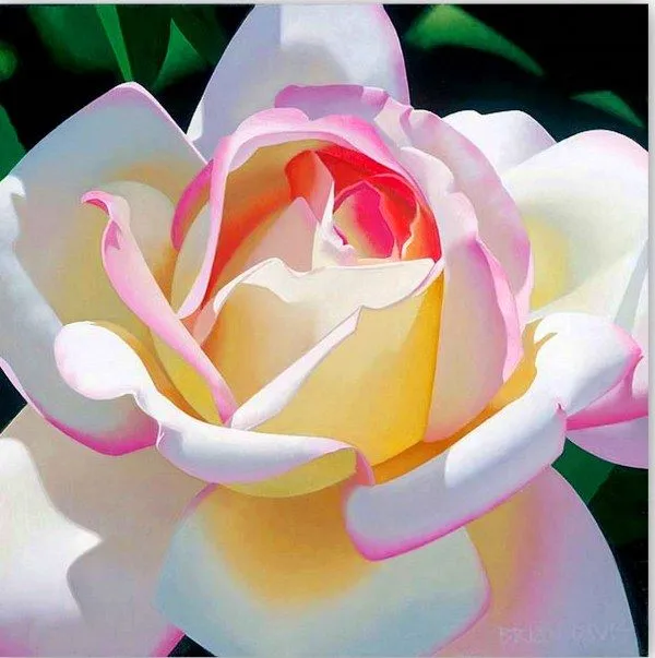 Cuadros: Pinturas de rosas al óleo | Pinturas al Óleo Cuadros: Pinturas de rosas al óleo | Pinturas al Óleo