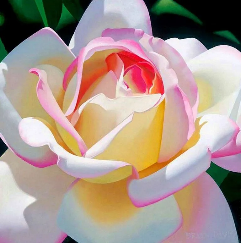 Cuadros de rosas pintadas al óleo | Cuadros Modernos al Óleo Cuadros de rosas pintadas al óleo | Cuadros Modernos al Óleo
