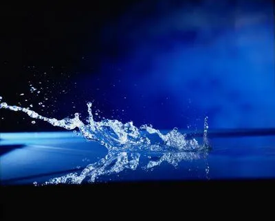 En una cubeta baja de color azul llena de agua y con un fondo de color ...